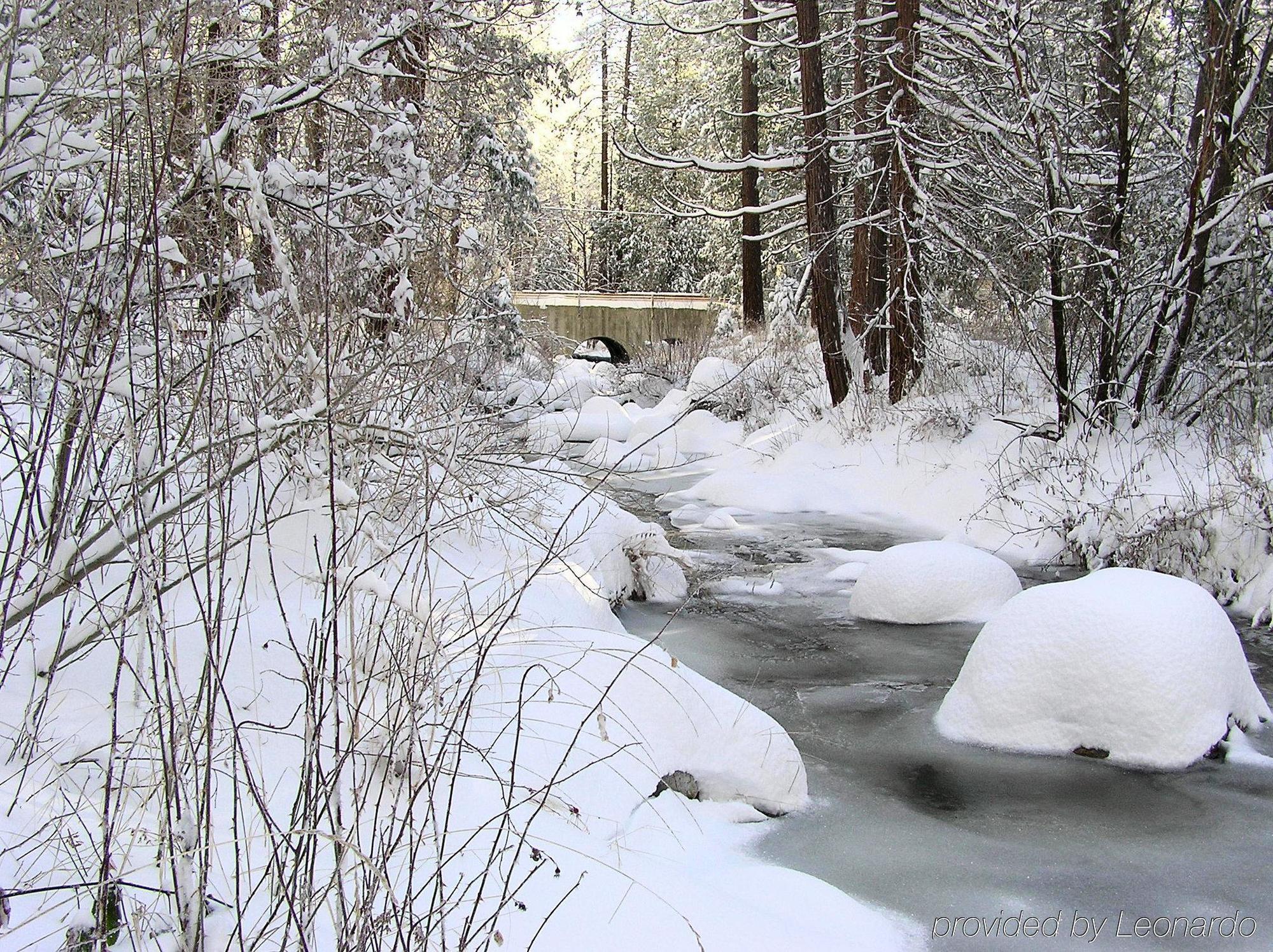 Quiet Creek Inn Idyllwild Kültér fotó