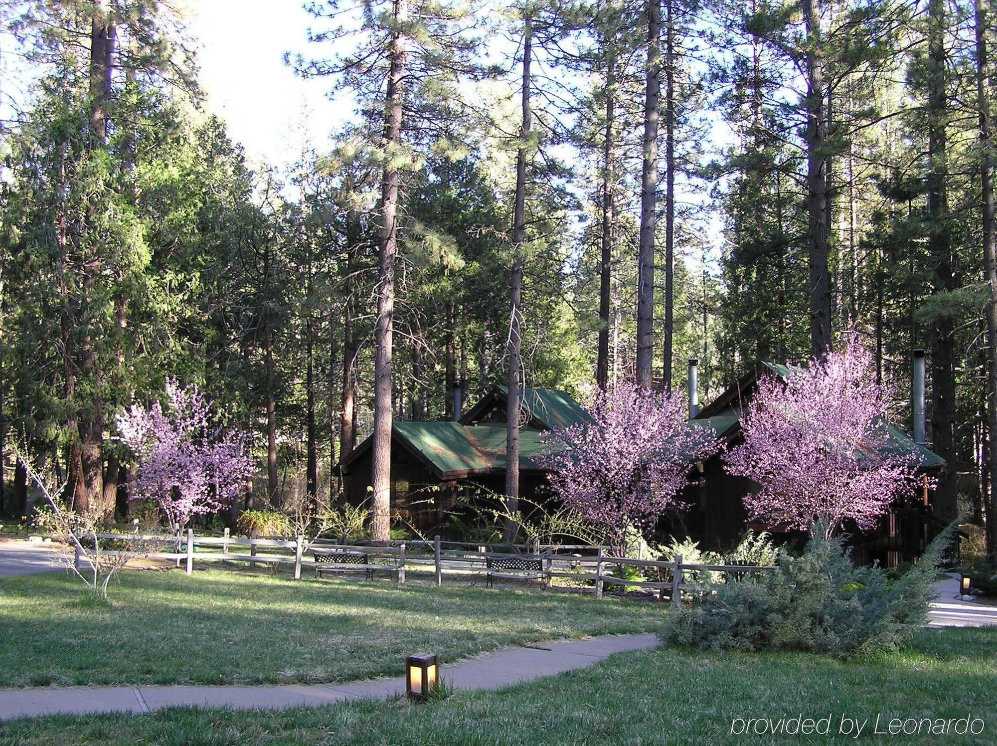 Quiet Creek Inn Idyllwild Kültér fotó