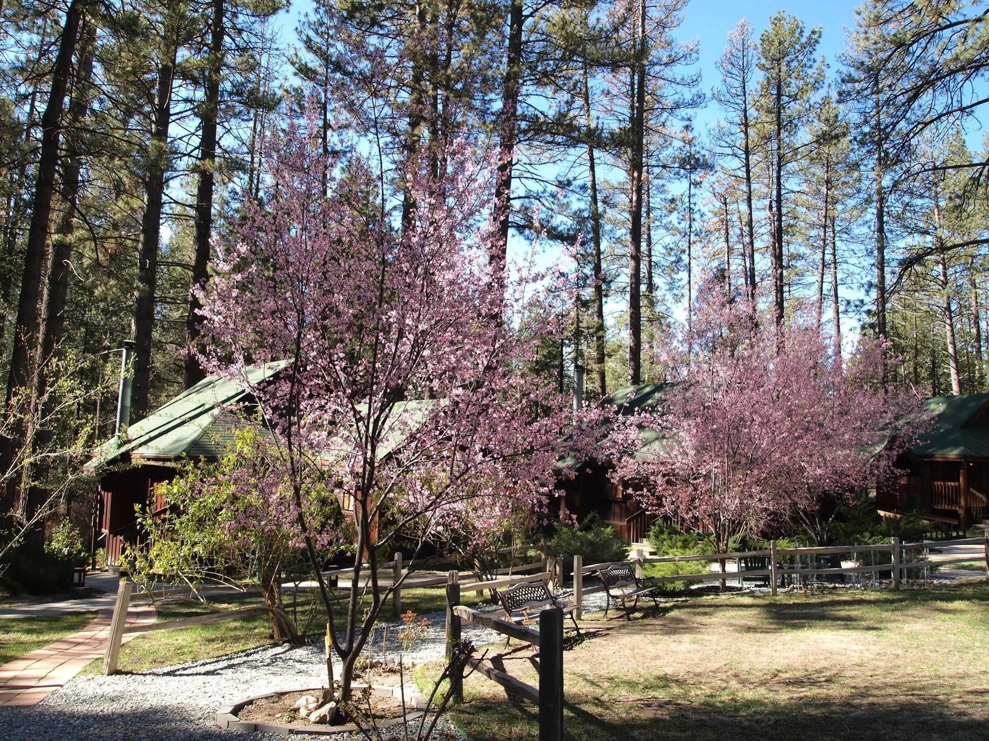 Quiet Creek Inn Idyllwild Kültér fotó