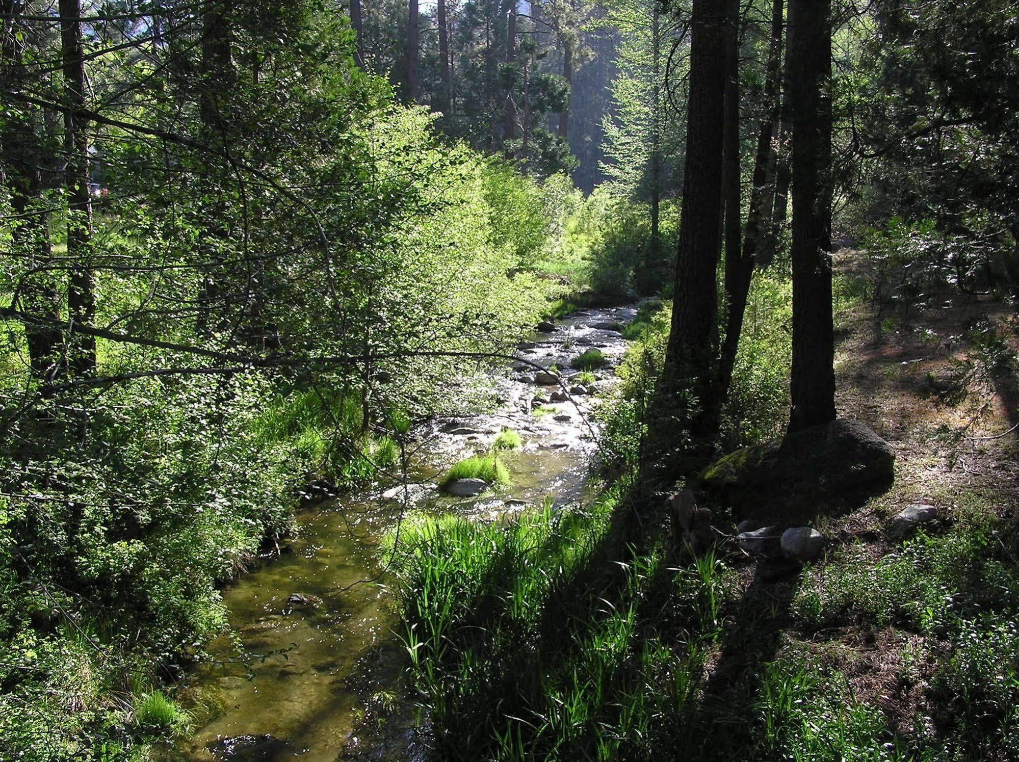 Quiet Creek Inn Idyllwild Kültér fotó