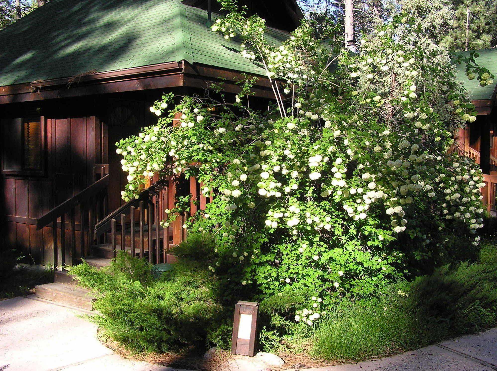 Quiet Creek Inn Idyllwild Kültér fotó