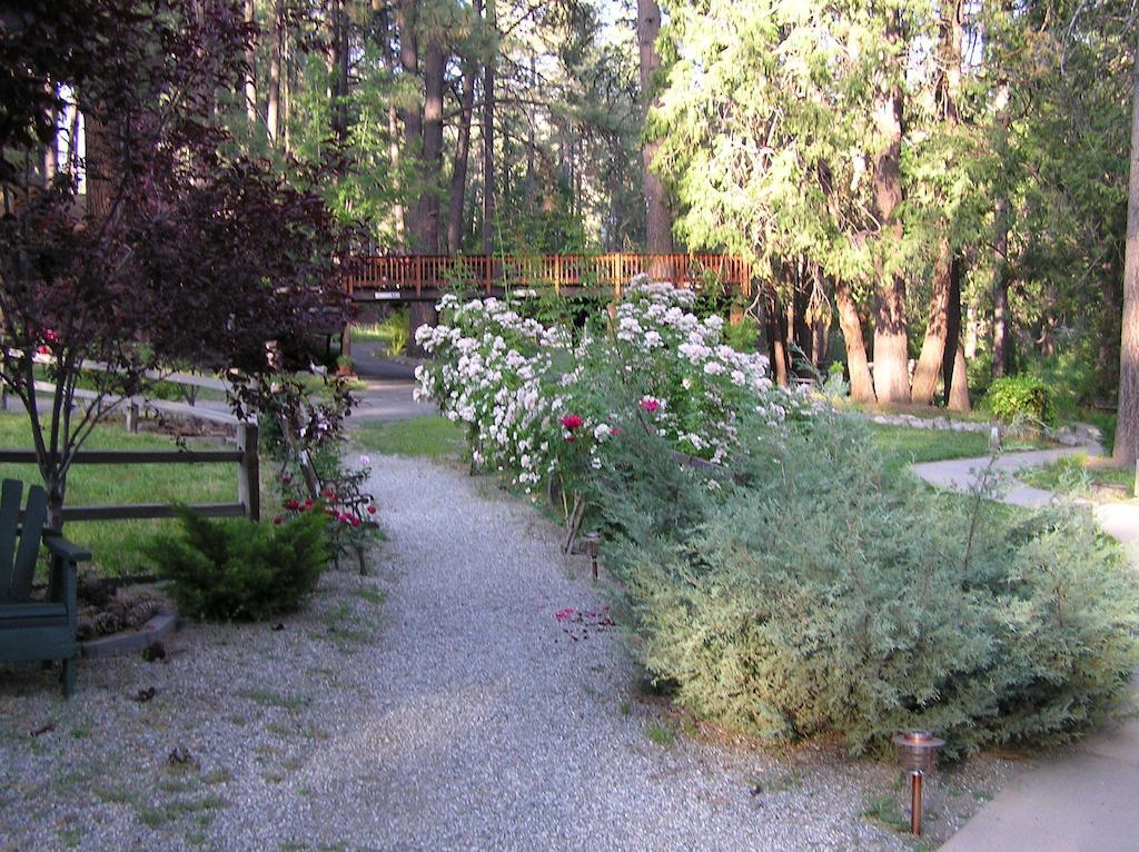 Quiet Creek Inn Idyllwild Kültér fotó