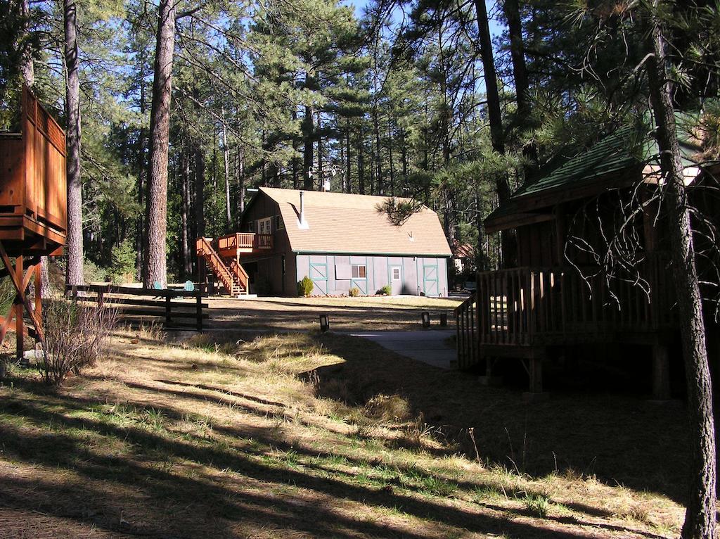 Quiet Creek Inn Idyllwild Kültér fotó