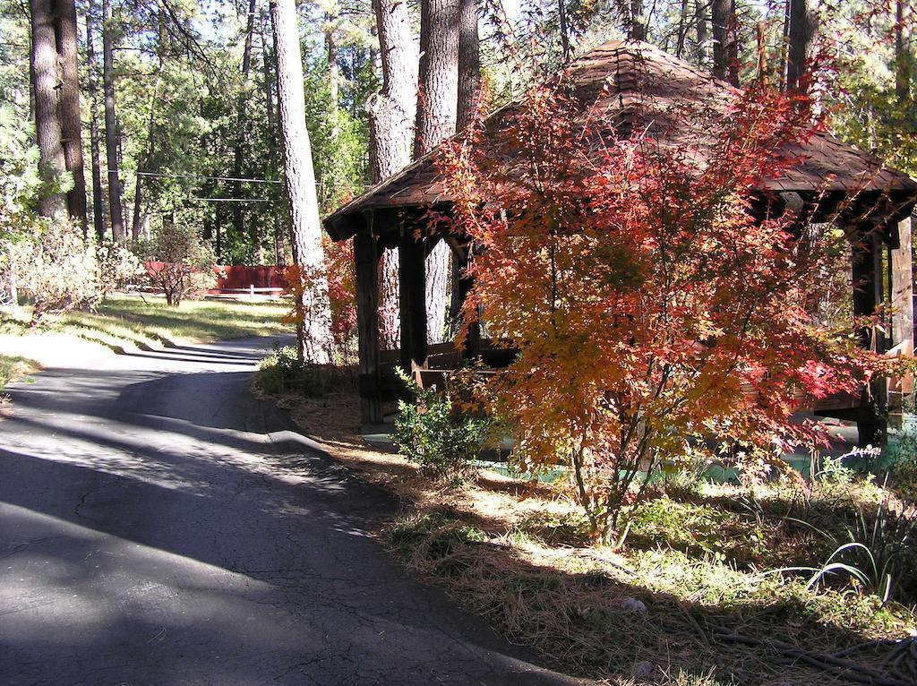 Quiet Creek Inn Idyllwild Kültér fotó